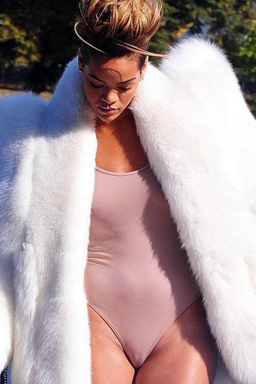 Rihanna Nude Photos and Video Compilation