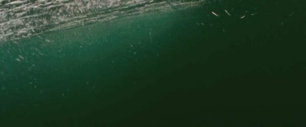 Gianna Michaels in Piranha 3D (2010) Nude Sexy Video Leaked