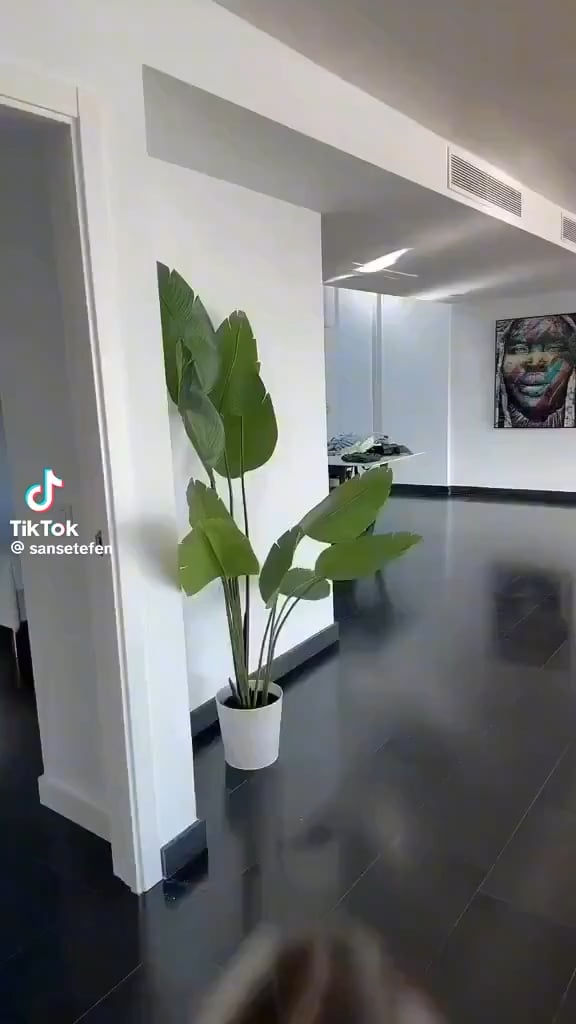 @sansetefen on TikTok – Onlyfans Girl Nude Sexy Video Leaked