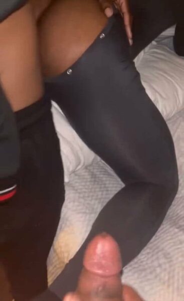 How many sissies can we catch in a week ?