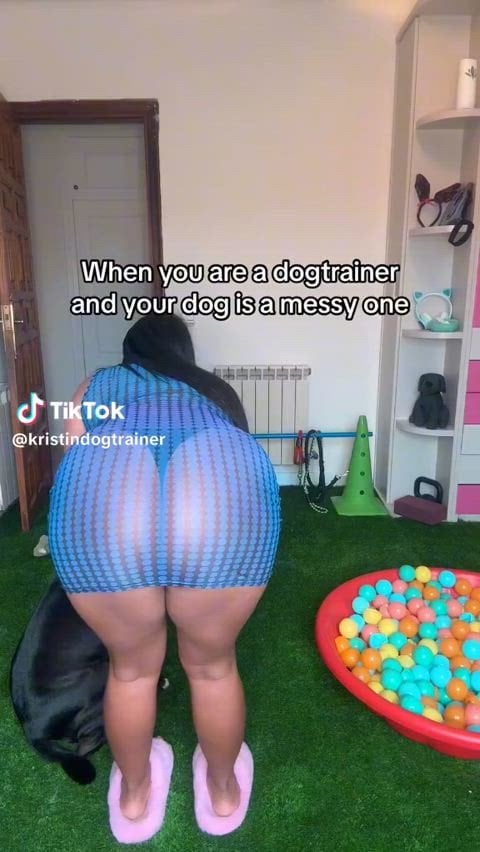 @kristindogtrainer Is this part of my daily work? on TikTok