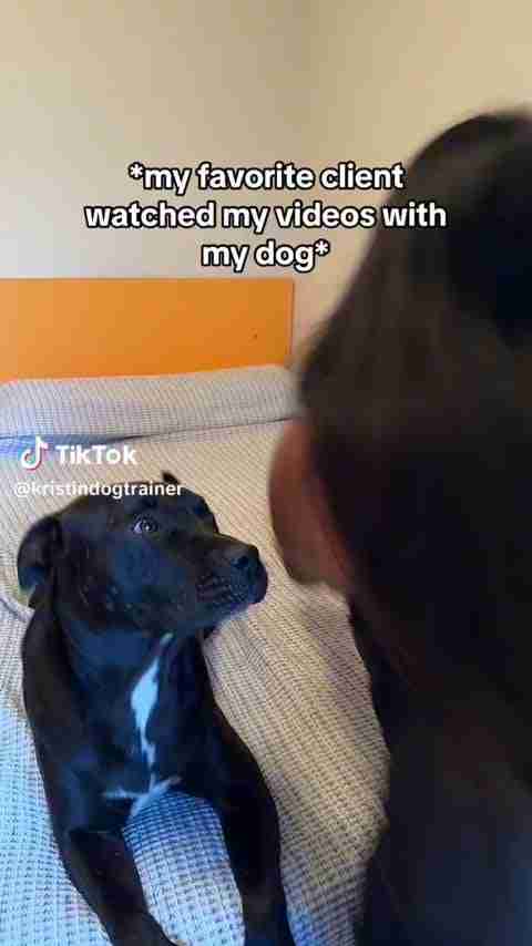 @kristindogtrainer on TikTok – Onlyfans Girl Nude Sexy Video Leaked