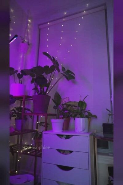 subsophiee Showing Her Ass Nude Video leaked – 634