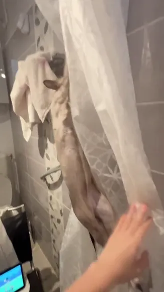 nym / protheme / Nude Onlyfans Porn Video # 1766473589