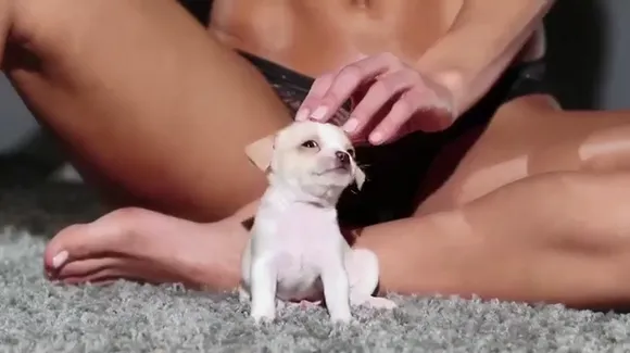 rachelcook Video Nude Onlyfans Porn Video # 1766899166