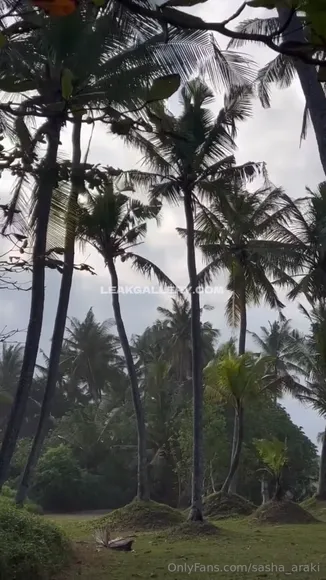 sasha_araki Video Nude Onlyfans Porn Video # 1767235226