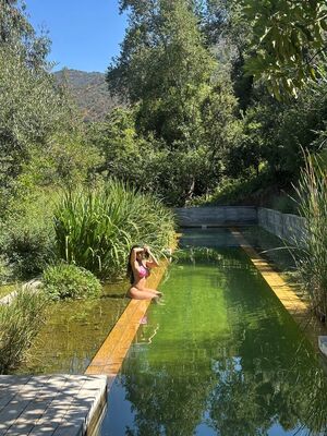 Paloma Mami