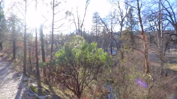 ayumianime Video #498763 Nude Onlyfans Porn Video # 1772333889