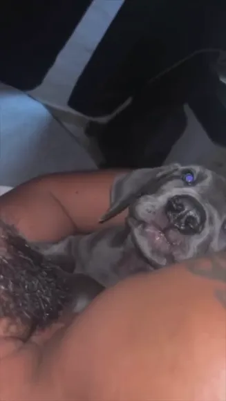 bebahan Video #5597168 Nude Onlyfans Porn Video # 1774743645