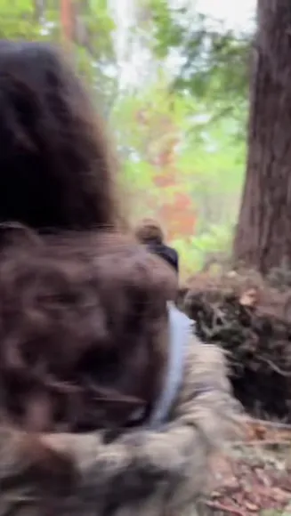 norafawn / norahfawnn Nude Onlyfans Porn Video # 1775393228